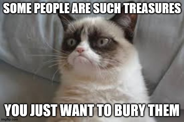 SOme people are such treasures | SOME PEOPLE ARE SUCH TREASURES; YOU JUST WANT TO BURY THEM | image tagged in grumpy cat | made w/ Imgflip meme maker
