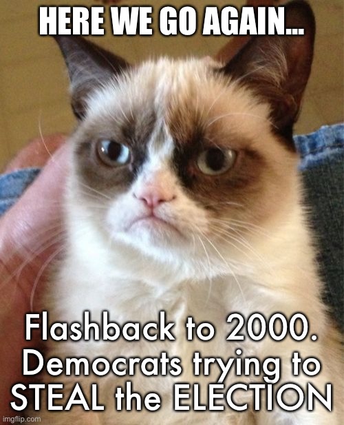 11/4/2020 | HERE WE GO AGAIN... Flashback to 2000.  Democrats trying to 
STEAL the ELECTION | image tagged in memes,grumpy cat | made w/ Imgflip meme maker