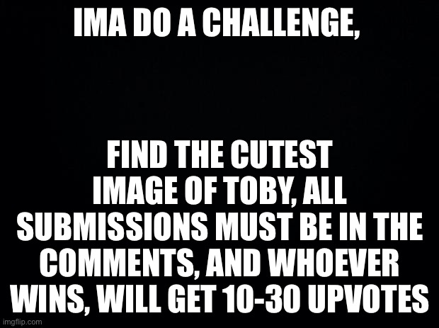 Black background | IMA DO A CHALLENGE, FIND THE CUTEST IMAGE OF TOBY, ALL SUBMISSIONS MUST BE IN THE COMMENTS, AND WHOEVER WINS, WILL GET 10-30 UPVOTES | image tagged in black background | made w/ Imgflip meme maker