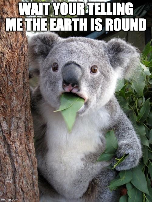 Surprised Koala | WAIT YOUR TELLING ME THE EARTH IS ROUND | image tagged in memes,surprised koala | made w/ Imgflip meme maker