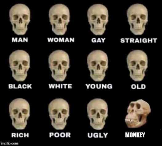 e | MONKEY | image tagged in idiot skull,monkey | made w/ Imgflip meme maker