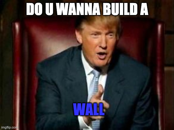 Donald Trump | DO U WANNA BUILD A; WALL | image tagged in donald trump | made w/ Imgflip meme maker