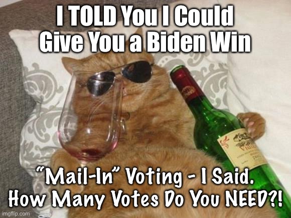 Funny Cat Birthday | I TOLD You I Could Give You a Biden Win; “Mail-In” Voting - I Said. How Many Votes Do You NEED?! | image tagged in funny cat birthday | made w/ Imgflip meme maker
