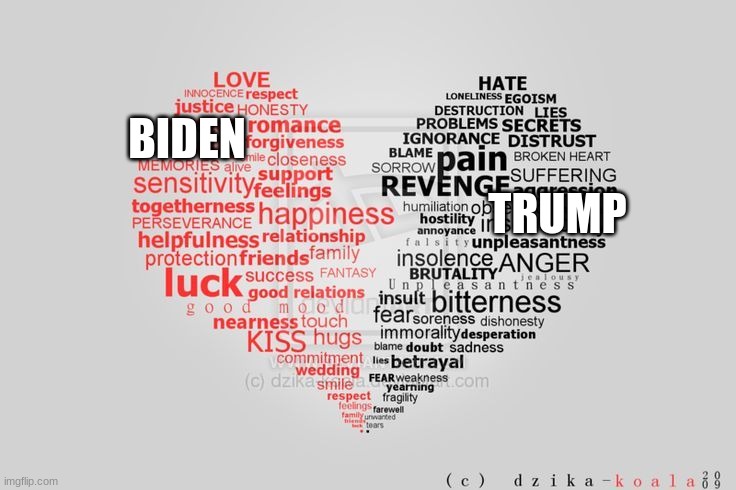 BIDEN; TRUMP | image tagged in election 2020,joe biden,donald trump,biden vs trump | made w/ Imgflip meme maker