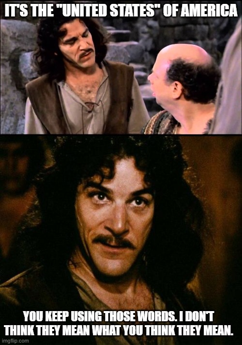 IT'S THE "UNITED STATES" OF AMERICA; YOU KEEP USING THOSE WORDS. I DON'T THINK THEY MEAN WHAT YOU THINK THEY MEAN. | image tagged in princess bride inigo vizzini inconceivable,memes,inigo montoya | made w/ Imgflip meme maker