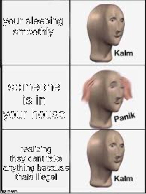 wait...its ok. :) | your sleeping smoothly; someone is in your house; realizing they cant take anything because thats illegal | image tagged in kalm panik kalm | made w/ Imgflip meme maker