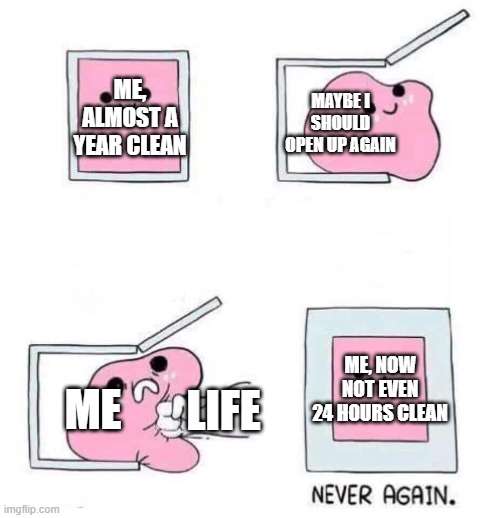 making memes about my pain is how i cope | ME, ALMOST A YEAR CLEAN; MAYBE I SHOULD OPEN UP AGAIN; ME, NOW NOT EVEN 24 HOURS CLEAN; ME; LIFE | image tagged in never again | made w/ Imgflip meme maker