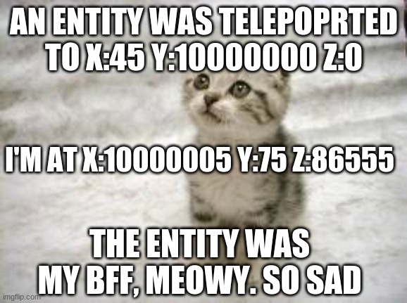 Sad Cat |  AN ENTITY WAS TELEPOPRTED TO X:45 Y:10000000 Z:0; I'M AT X:10000005 Y:75 Z:86555; THE ENTITY WAS MY BFF, MEOWY. SO SAD | image tagged in memes,sad cat | made w/ Imgflip meme maker