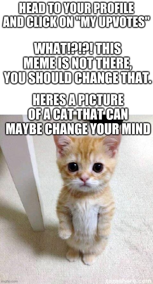 come on man just do it | HEAD TO YOUR PROFILE AND CLICK ON "MY UPVOTES"; WHAT!?!?! THIS MEME IS NOT THERE, YOU SHOULD CHANGE THAT. HERES A PICTURE OF A CAT THAT CAN MAYBE CHANGE YOUR MIND | image tagged in blank white template,memes,cute cat | made w/ Imgflip meme maker