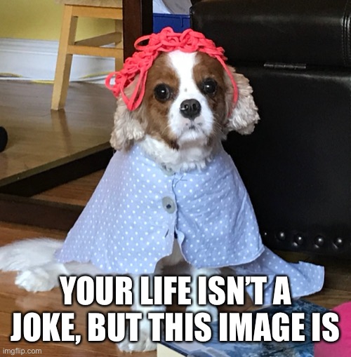 YOUR LIFE ISN’T A JOKE, BUT THIS IMAGE IS | made w/ Imgflip meme maker