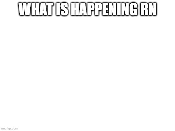 Blank White Template | WHAT IS HAPPENING RN | image tagged in blank white template | made w/ Imgflip meme maker