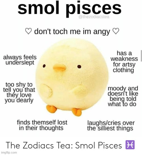 this is me lol :3 | image tagged in zodiac | made w/ Imgflip meme maker