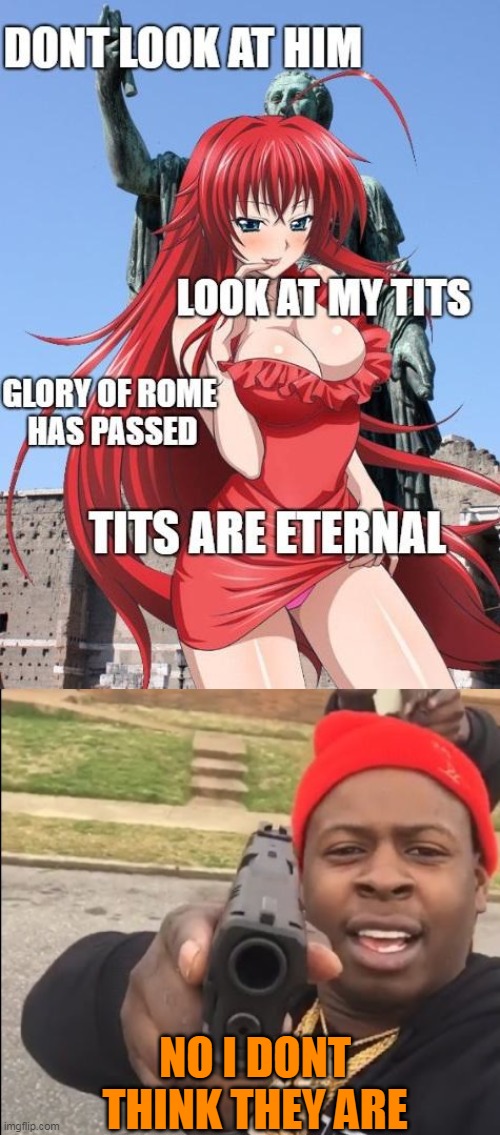 they are not eternal! | NO I DONT THINK THEY ARE | image tagged in memes,funny,highschool dxd,hentai_haters | made w/ Imgflip meme maker