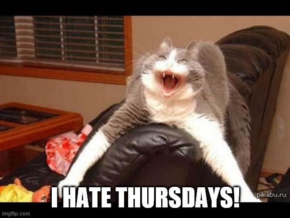 I hate thursdays | I HATE THURSDAYS! | image tagged in crazy cat | made w/ Imgflip meme maker