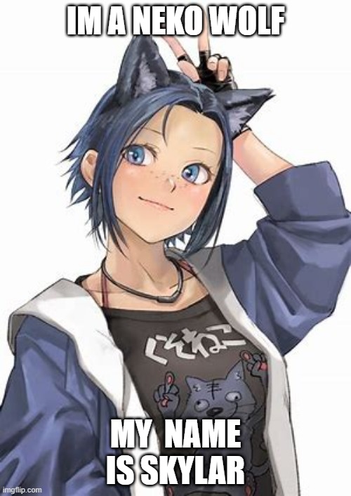 Im a neko wolf bitches | IM A NEKO WOLF; MY  NAME IS SKYLAR | image tagged in neko | made w/ Imgflip meme maker