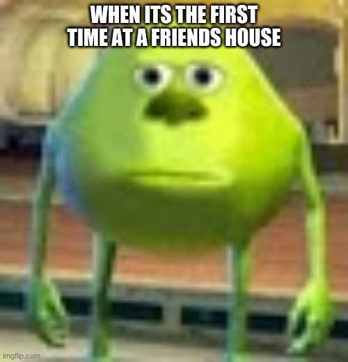 Sully Wazowski | WHEN ITS THE FIRST TIME AT A FRIENDS HOUSE | image tagged in sully wazowski | made w/ Imgflip meme maker