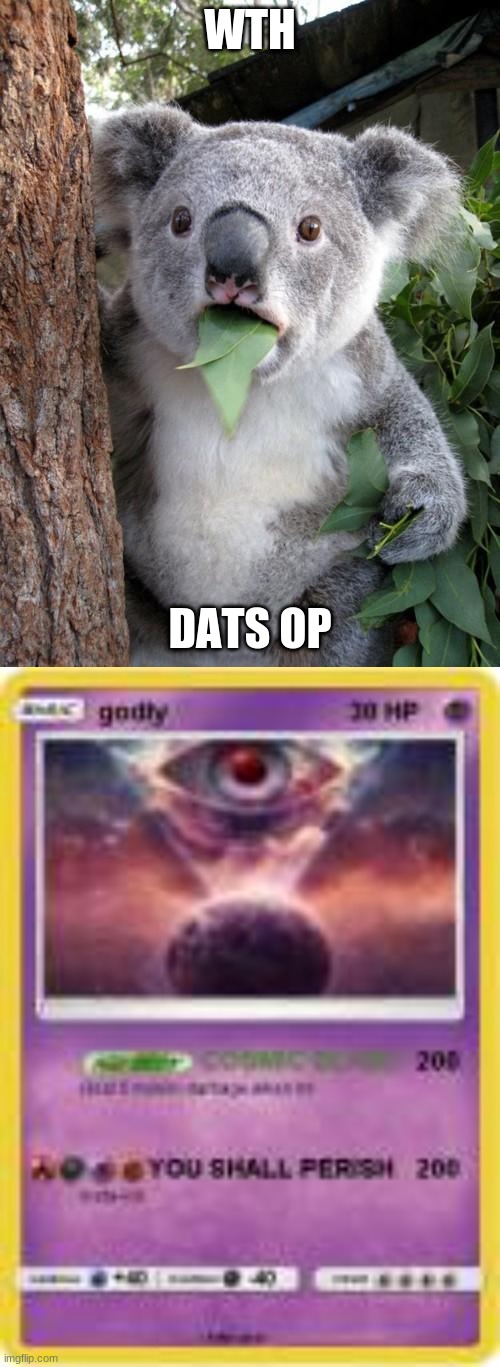 WTH; DATS OP | image tagged in memes,surprised koala | made w/ Imgflip meme maker