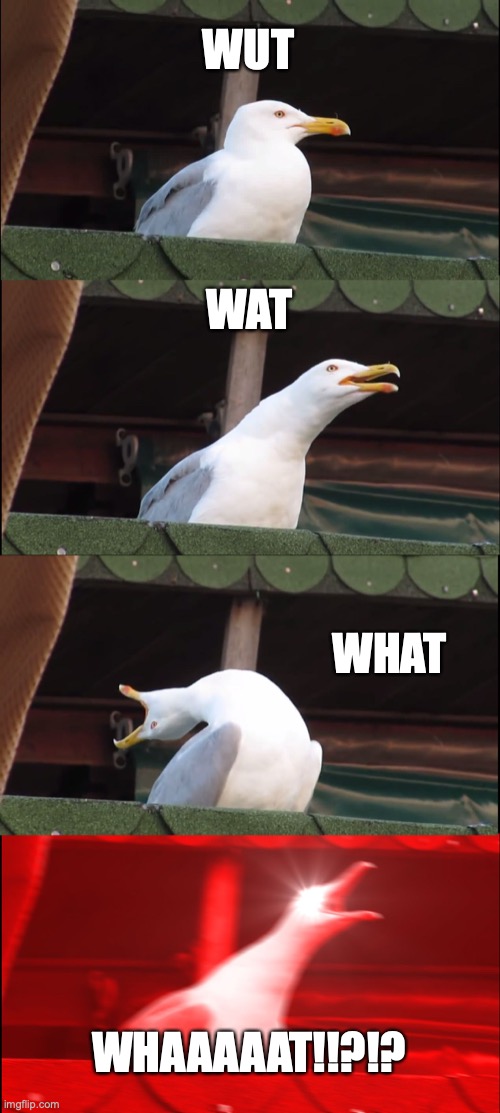 Inhaling Seagull | WUT; WAT; WHAT; WHAAAAAT!!?!? | image tagged in memes,inhaling seagull | made w/ Imgflip meme maker