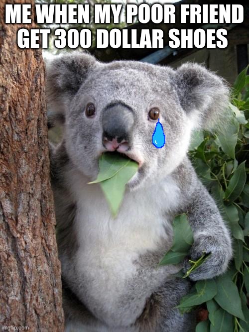 oh god | ME WHEN MY POOR FRIEND GET 300 DOLLAR SHOES | image tagged in memes,surprised koala,shoes,animals | made w/ Imgflip meme maker