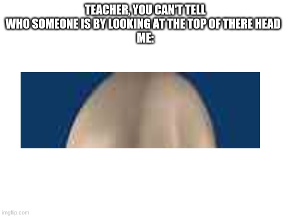 Blank White Template | TEACHER, YOU CAN'T TELL WHO SOMEONE IS BY LOOKING AT THE TOP OF THERE HEAD  
ME: | image tagged in blank white template | made w/ Imgflip meme maker