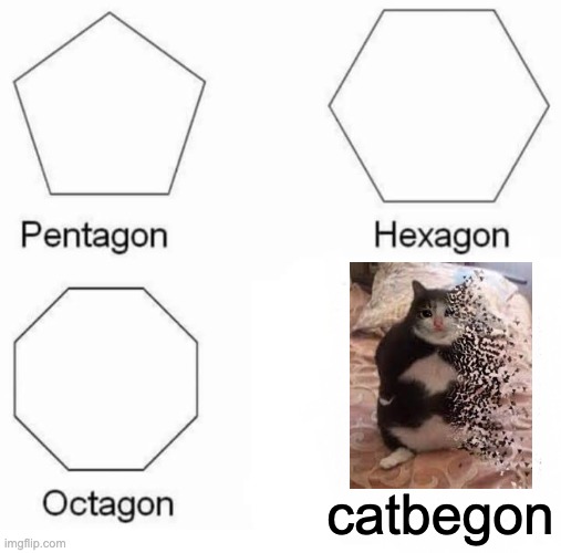Catbegon | catbegon | image tagged in memes,pentagon hexagon octagon | made w/ Imgflip meme maker