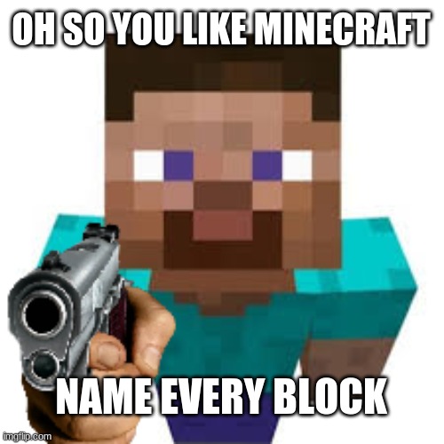 oh so you like minecraft? | OH SO YOU LIKE MINECRAFT; NAME EVERY BLOCK | image tagged in minecraft steve,funny meme,oh god why | made w/ Imgflip meme maker