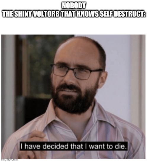 I have decided that I want to die. | NOBODY
THE SHINY VOLTORB THAT KNOWS SELF DESTRUCT: | image tagged in i have decided that i want to die | made w/ Imgflip meme maker