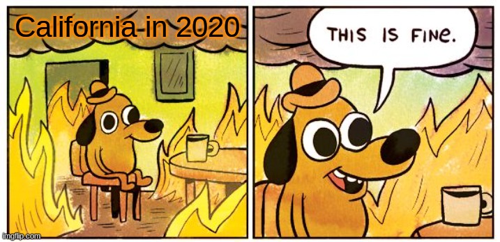 This Is Fine | California in 2020 | image tagged in memes,this is fine | made w/ Imgflip meme maker