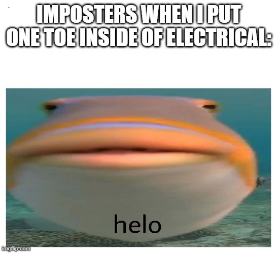 Every time | IMPOSTERS WHEN I PUT ONE TOE INSIDE OF ELECTRICAL: | image tagged in helo fish,memes,funny,among us | made w/ Imgflip meme maker