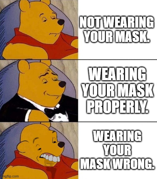 Wear that thing right. | NOT WEARING YOUR MASK. WEARING YOUR MASK PROPERLY. WEARING YOUR MASK WRONG. | image tagged in best better blurst | made w/ Imgflip meme maker