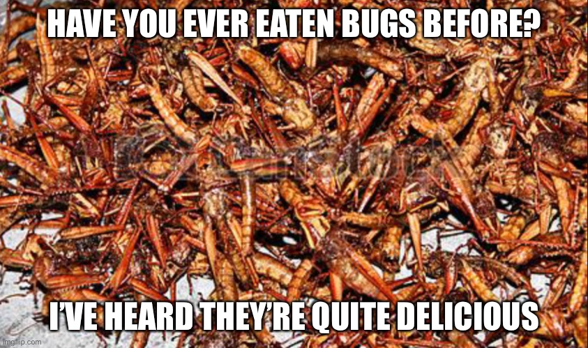 Bugs | HAVE YOU EVER EATEN BUGS BEFORE? I’VE HEARD THEY’RE QUITE DELICIOUS | image tagged in bugs | made w/ Imgflip meme maker