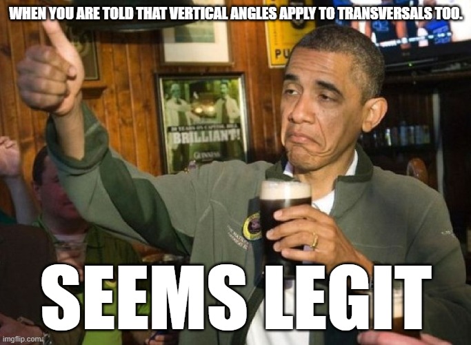 seems legit | WHEN YOU ARE TOLD THAT VERTICAL ANGLES APPLY TO TRANSVERSALS TOO. SEEMS LEGIT | image tagged in seems legit | made w/ Imgflip meme maker