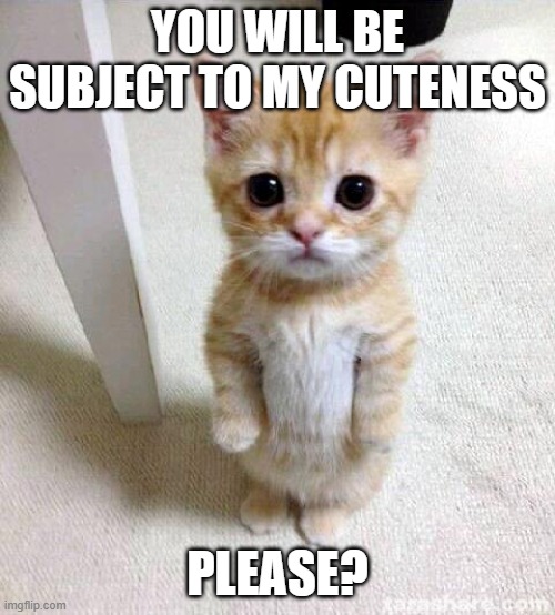 Cute Cat Meme | YOU WILL BE SUBJECT TO MY CUTENESS; PLEASE? | image tagged in memes,cute cat | made w/ Imgflip meme maker