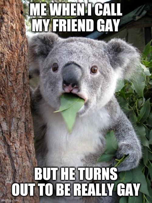 Surprised Koala Meme | ME WHEN I CALL MY FRIEND GAY; BUT HE TURNS OUT TO BE REALLY GAY | image tagged in memes,surprised koala,gay,friends,surprised,unexpected | made w/ Imgflip meme maker