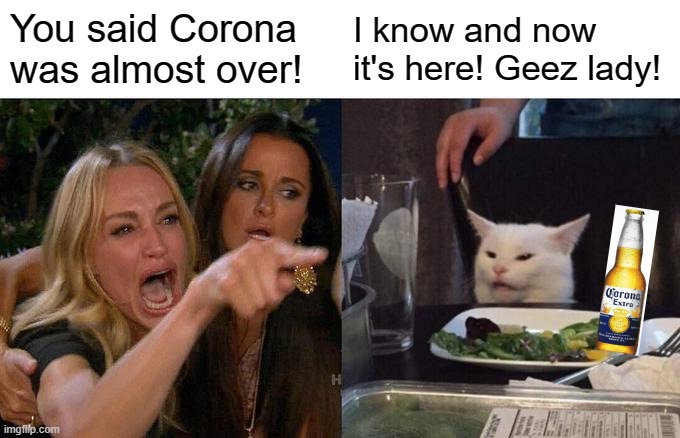 Woman Yelling At Cat | You said Corona was almost over! I know and now it's here! Geez lady! | image tagged in memes,woman yelling at cat | made w/ Imgflip meme maker