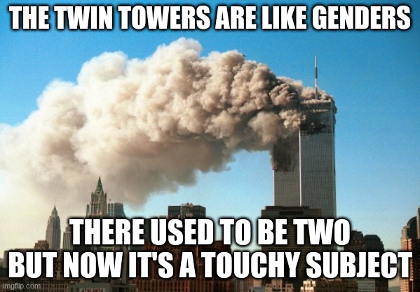 Genders did not work out | THE TWIN TOWERS ARE LIKE GENDERS; THERE USED TO BE TWO BUT NOW IT'S A TOUCHY SUBJECT | image tagged in funny | made w/ Imgflip meme maker