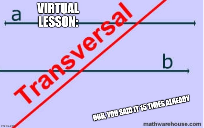 No duh | VIRTUAL LESSON:; DUH, YOU SAID IT 15 TIMES ALREADY | image tagged in no duh | made w/ Imgflip meme maker