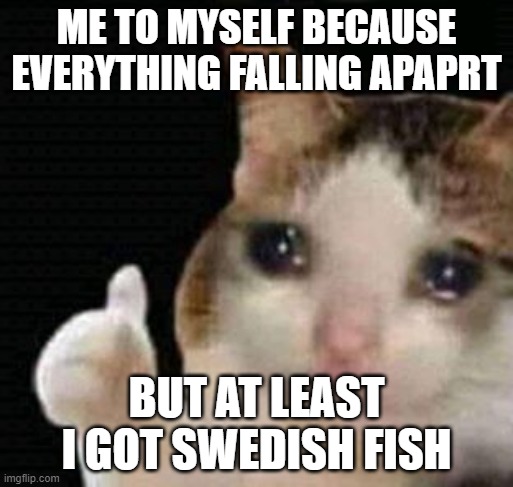 swedish fish solves problems | ME TO MYSELF BECAUSE EVERYTHING FALLING APAPRT; BUT AT LEAST I GOT SWEDISH FISH | image tagged in sad thumbs up cat | made w/ Imgflip meme maker