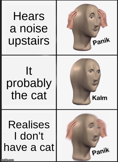 Panik Kalm Panik | Hears a noise upstairs; It probably the cat; Realises I don't have a cat | image tagged in memes,panik kalm panik | made w/ Imgflip meme maker