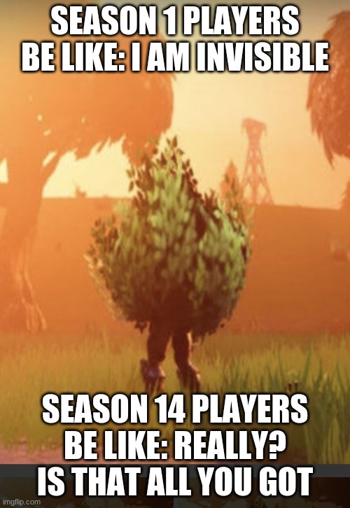 Fortnite bush | SEASON 1 PLAYERS BE LIKE: I AM INVISIBLE; SEASON 14 PLAYERS BE LIKE: REALLY? IS THAT ALL YOU GOT | image tagged in fortnite bush | made w/ Imgflip meme maker