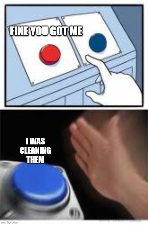this is one of the memes i forgot to submit LMFAO | FINE YOU GOT ME; I WAS CLEANING THEM | image tagged in red and blue buttons | made w/ Imgflip meme maker
