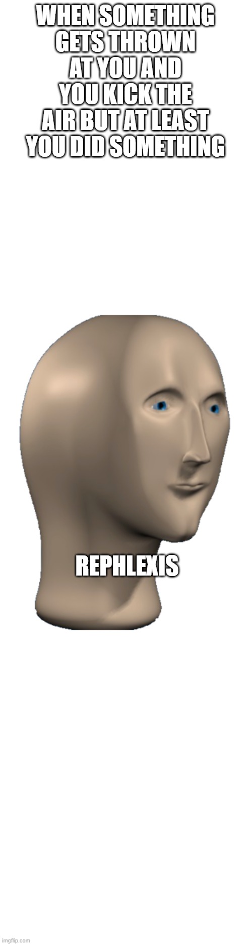 Meme Man |  WHEN SOMETHING GETS THROWN AT YOU AND YOU KICK THE AIR BUT AT LEAST YOU DID SOMETHING; REPHLEXIS | image tagged in meme man | made w/ Imgflip meme maker