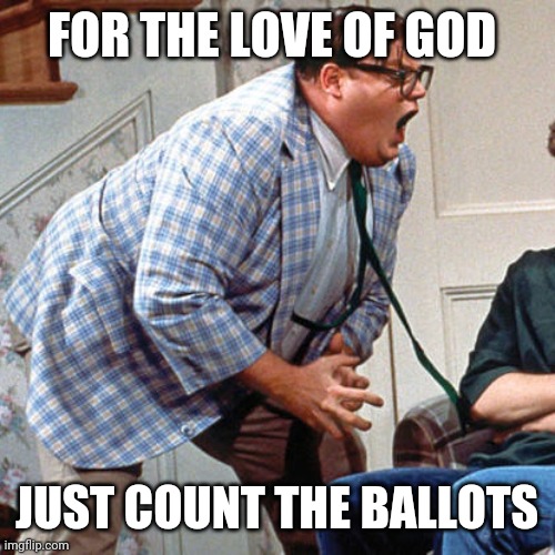 Chris Farley For the love of god | FOR THE LOVE OF GOD; JUST COUNT THE BALLOTS | image tagged in chris farley for the love of god | made w/ Imgflip meme maker