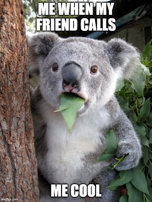 Surprised Koala | ME WHEN MY FRIEND CALLS; ME COOL | image tagged in memes,surprised koala | made w/ Imgflip meme maker