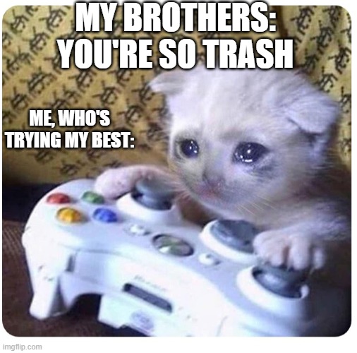 idk | MY BROTHERS: YOU'RE SO TRASH; ME, WHO'S TRYING MY BEST: | image tagged in memes | made w/ Imgflip meme maker