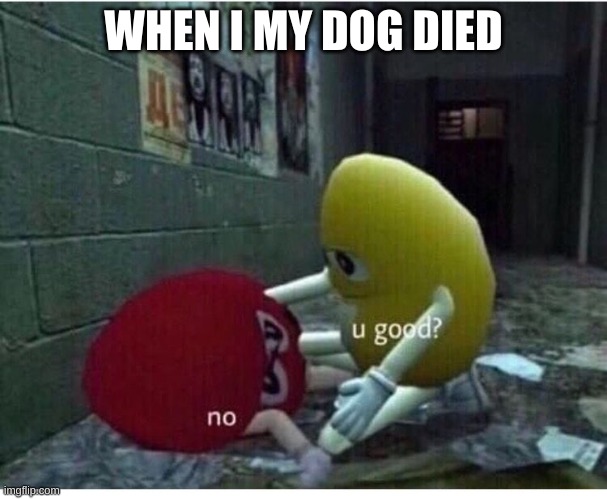 U Good No | WHEN I MY DOG DIED | image tagged in u good no | made w/ Imgflip meme maker