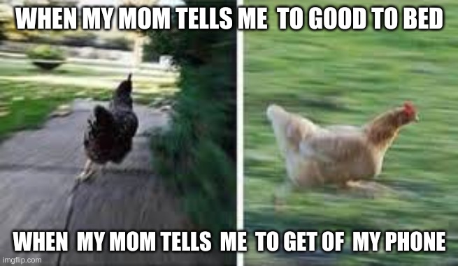 running chicken | WHEN MY MOM TELLS ME  TO GOOD TO BED; WHEN  MY MOM TELLS  ME  TO GET OF  MY PHONE | image tagged in running chicken | made w/ Imgflip meme maker