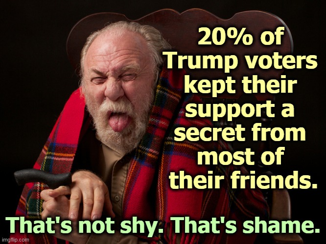 Trump is a sneak. So, apparently, are his voters. That's why the polls were off. | 20% of 
Trump voters 
kept their 
support a 
secret from 
most of 
their friends. That's not shy. That's shame. | image tagged in trump,sneaky,dishonest,shame,disgust | made w/ Imgflip meme maker
