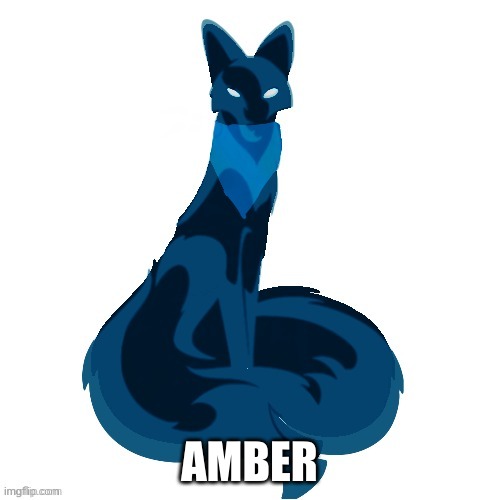 AMBER | made w/ Imgflip meme maker