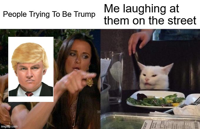 Technically this works | People Trying To Be Trump; Me laughing at them on the street | image tagged in memes,woman yelling at cat | made w/ Imgflip meme maker